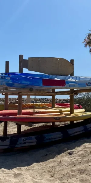 292591465_373162551625378_6941387357718486074_n